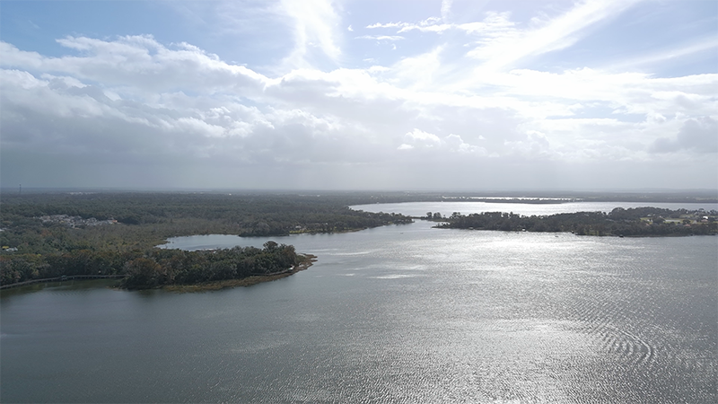 Lake June Aerial